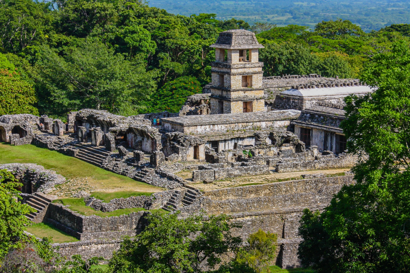 Palenque lush surroundings